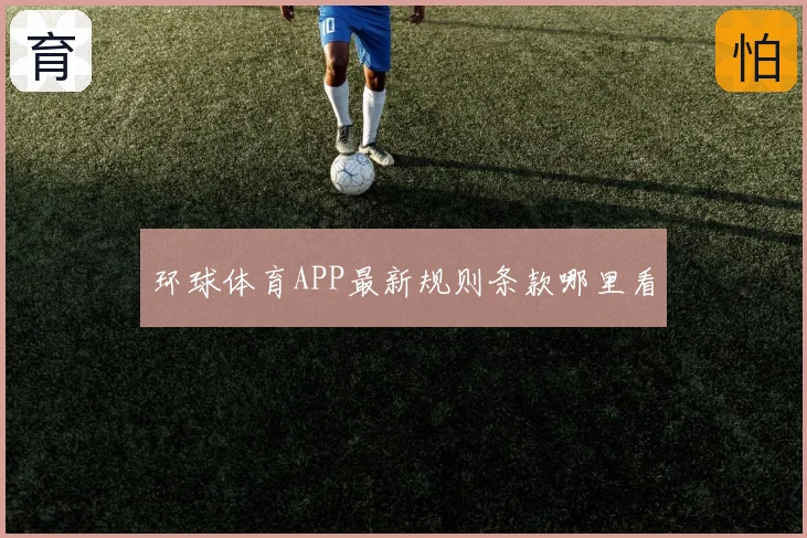 环球体育APP最新规则条款哪里看